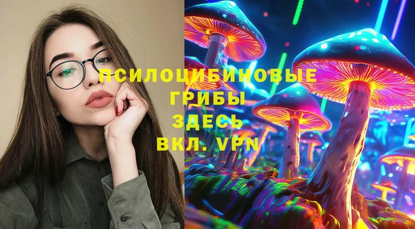 бутират Алексин