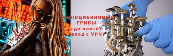 бошки Алзамай