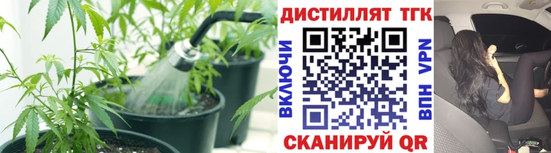 ТГК вейп с тгк Королёв